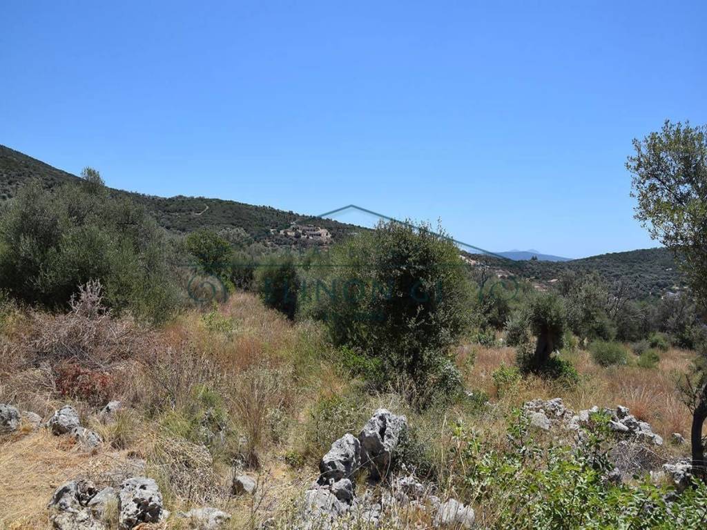 To agrotemachio me ten epia klise