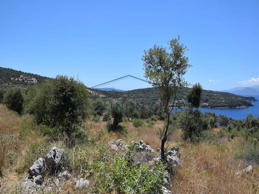 Kataplektike anempodiste thea 180o