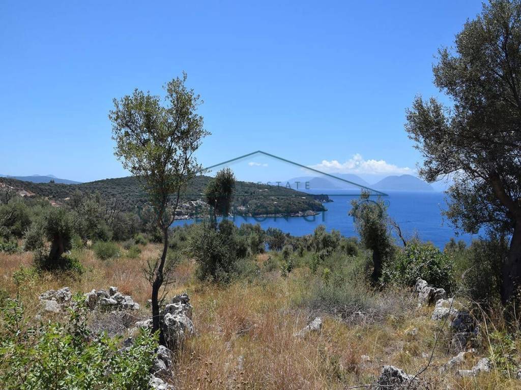 Kataplektike anempodiste thea 180o