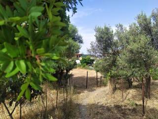 Η ΕΙΣΟΔΟΣ ΤΟΥ ΟΙΚΟΠΕΔΟΥ