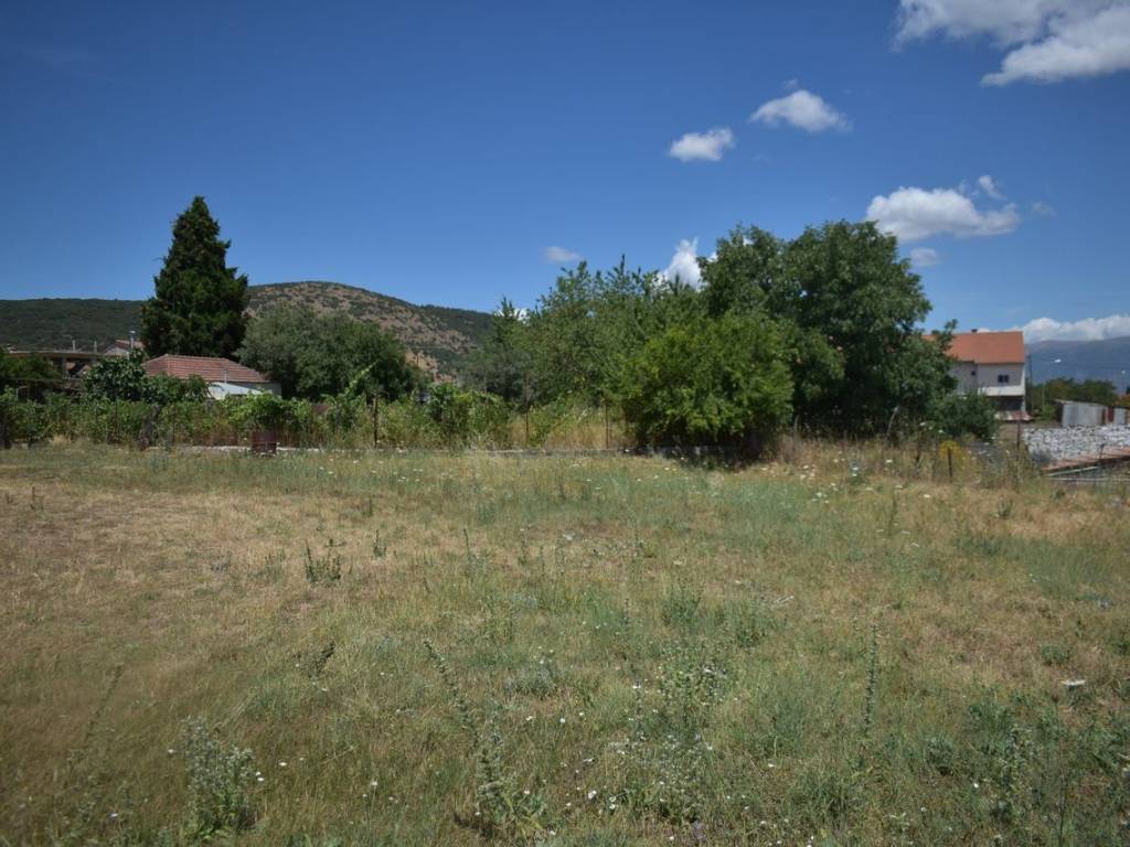 ΑΠΟΨΗ ΟΙΚΟΠΕΔΟΥ