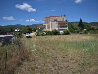 ΑΠΟΨΗ ΟΙΚΟΠΕΔΟΥ