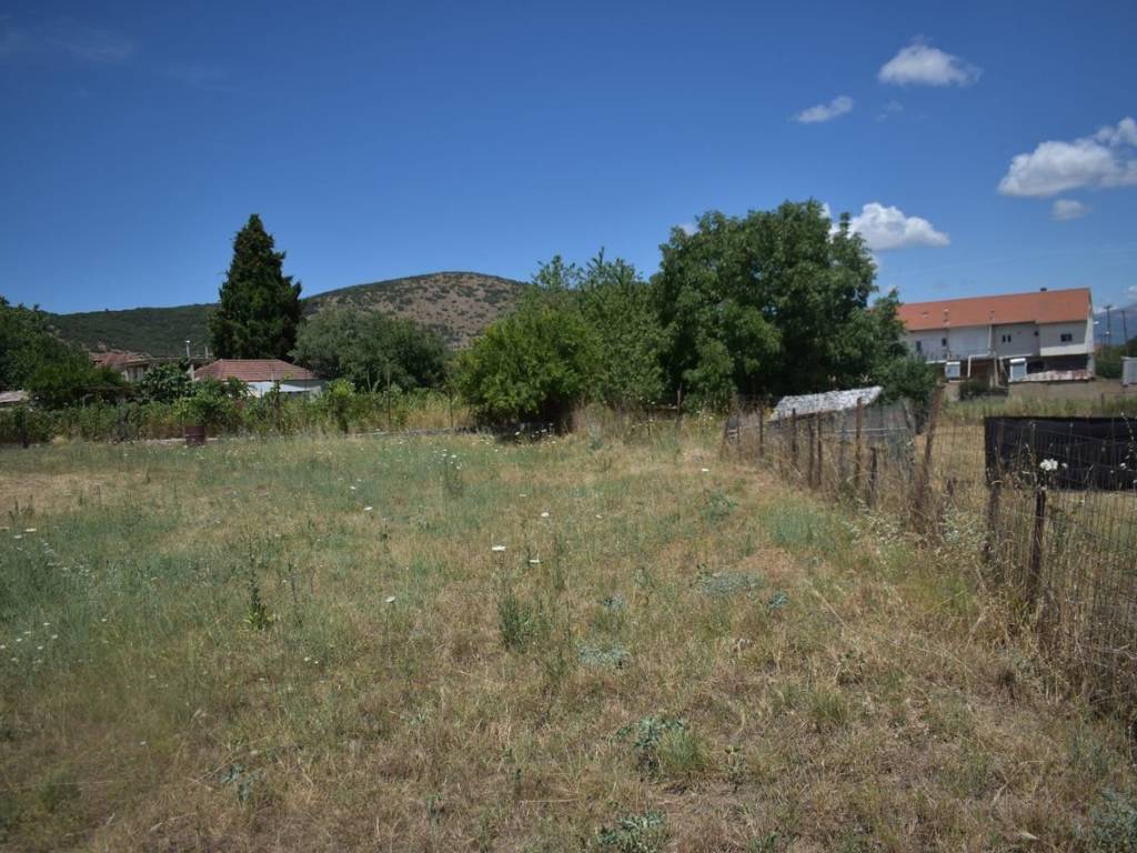 ΑΠΟΨΗ ΟΙΚΟΠΕΔΟΥ