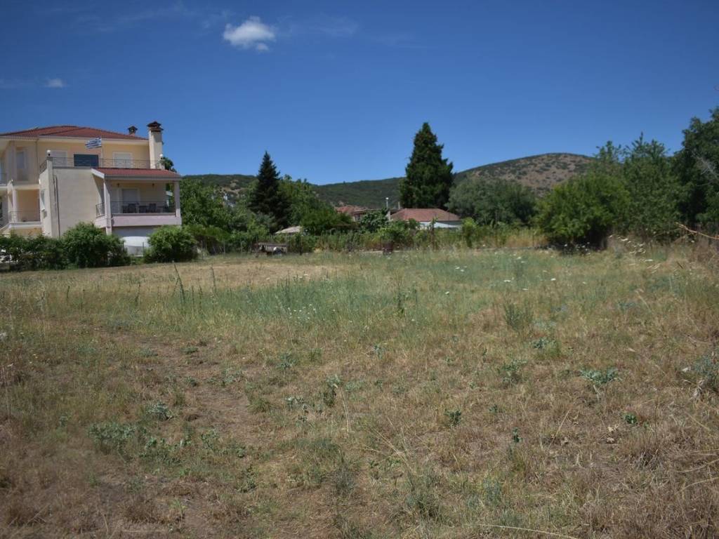 ΑΠΟΨΗ ΟΙΚΟΠΕΔΟΥ