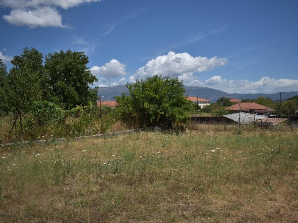 ΑΠΟΨΗ ΟΙΚΟΠΕΔΟΥ