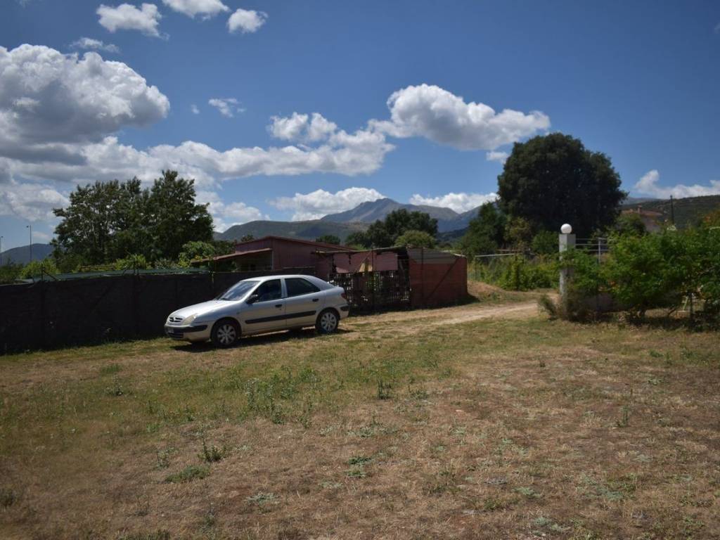 ΑΠΟΨΗ ΟΙΚΟΠΕΔΟΥ