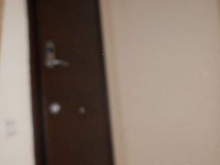 ΘΩΡΑΚΙΣΜΕΝΗ ΠΟΡΤΑ