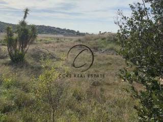 Εξωτερικοι χώροι