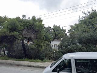 Εξωτερικοι χώροι