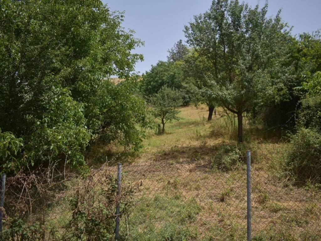 ΑΠΟΨΗ ΟΙΚΟΠΕΔΟΥ