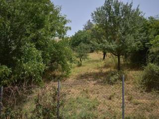 ΑΠΟΨΗ ΟΙΚΟΠΕΔΟΥ