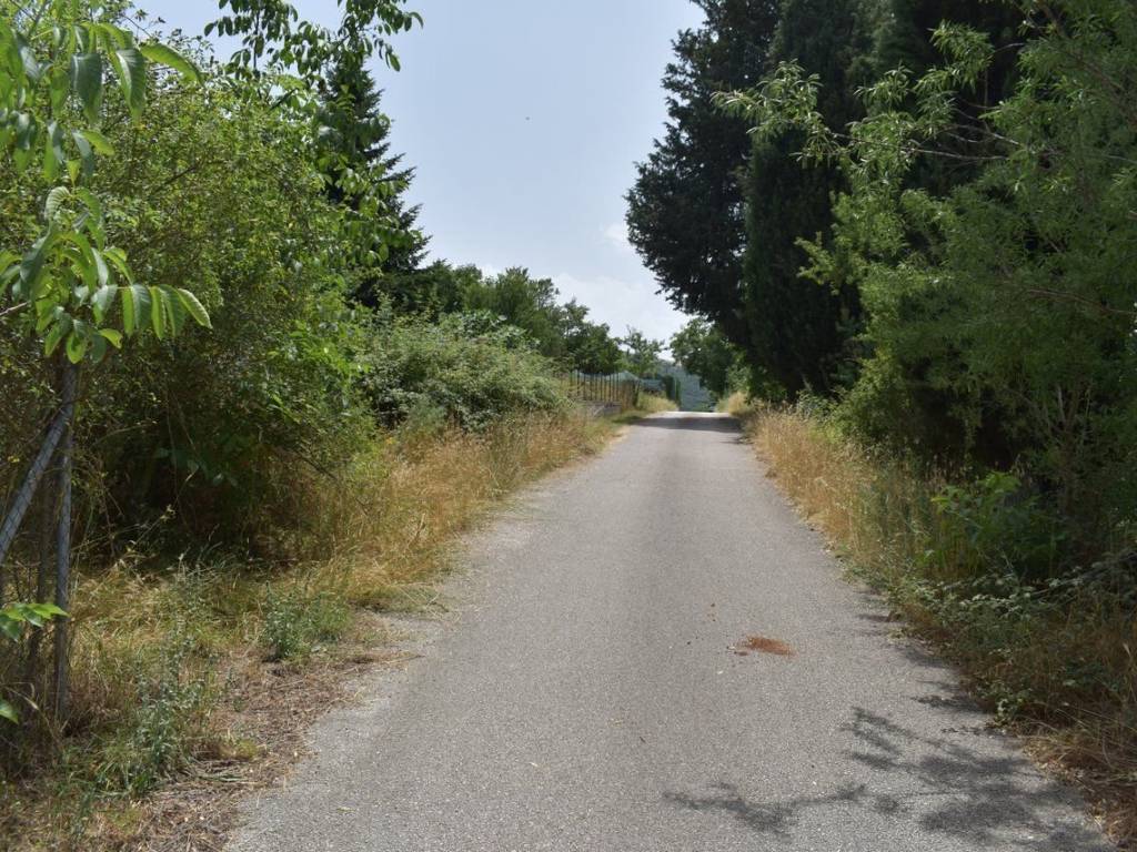 ΑΠΟΨΗ ΟΙΚΟΠΕΔΟΥ