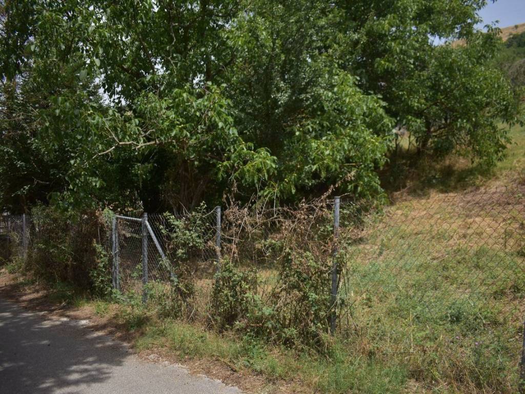 ΑΠΟΨΗ ΟΙΚΟΠΕΔΟΥ