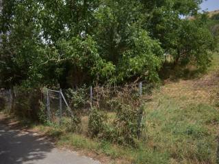 ΑΠΟΨΗ ΟΙΚΟΠΕΔΟΥ