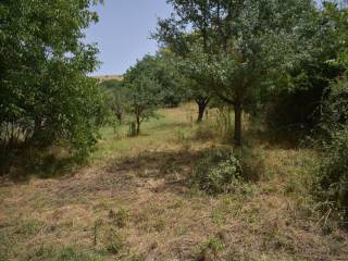 ΑΠΟΨΗ ΟΙΚΟΠΕΔΟΥ