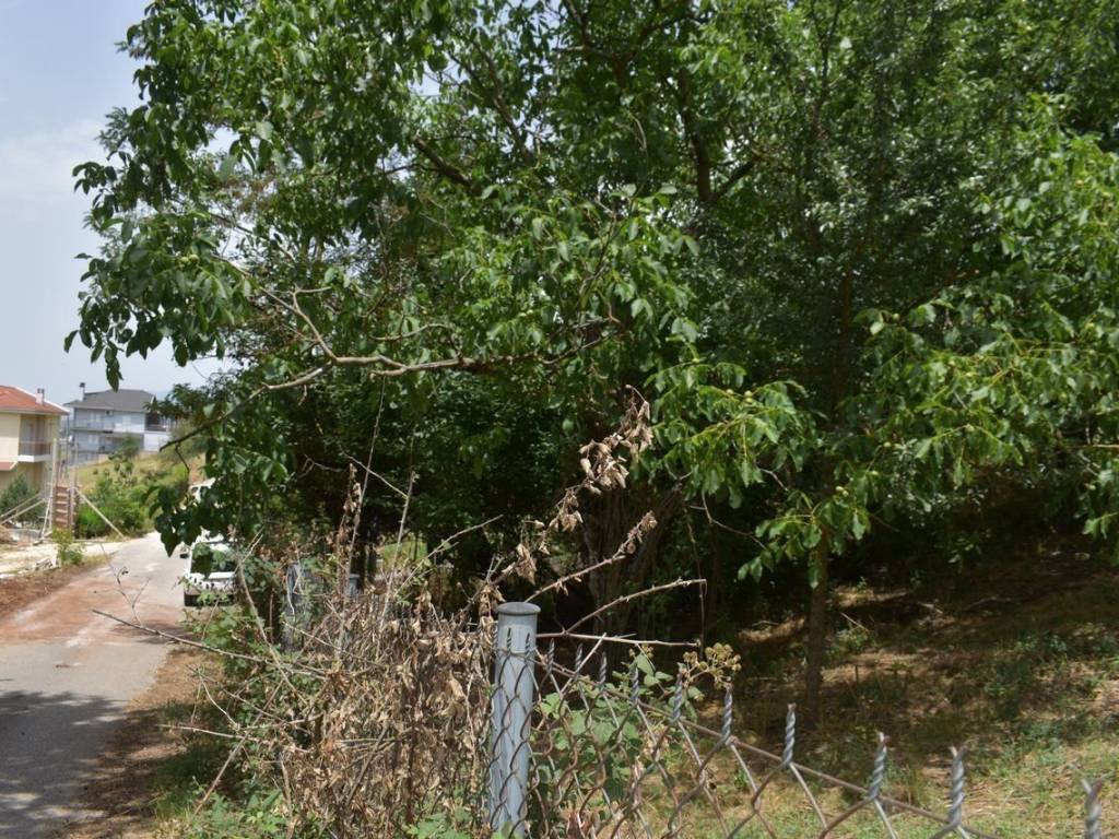 ΑΠΟΨΗ ΟΙΚΟΠΕΔΟΥ