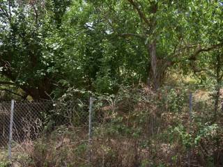 ΑΠΟΨΗ ΟΙΚΟΠΕΔΟΥ