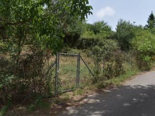 ΑΠΟΨΗ ΟΙΚΟΠΕΔΟΥ