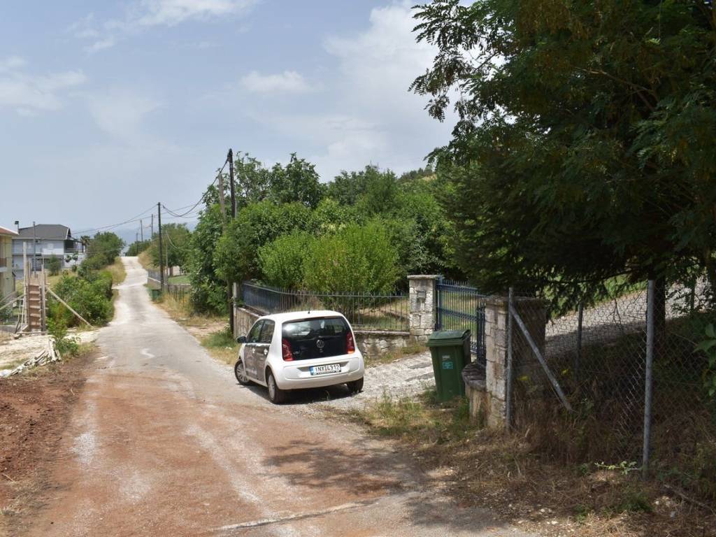 ΑΠΟΨΗ ΟΙΚΟΠΕΔΟΥ