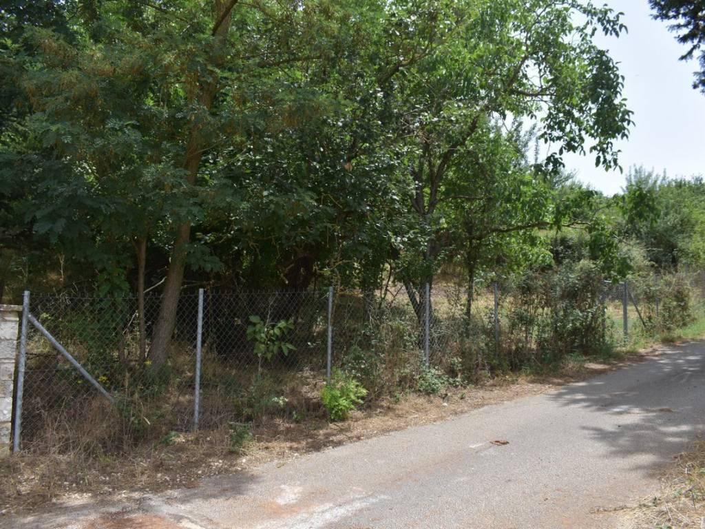 ΑΠΟΨΗ ΟΙΚΟΠΕΔΟΥ