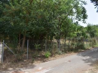 ΑΠΟΨΗ ΟΙΚΟΠΕΔΟΥ