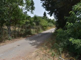 ΑΠΟΨΗ ΟΙΚΟΠΕΔΟΥ