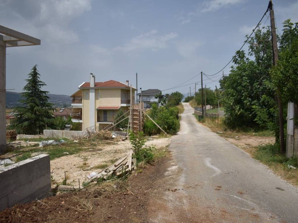 ΑΠΟΨΗ ΟΙΚΟΠΕΔΟΥ