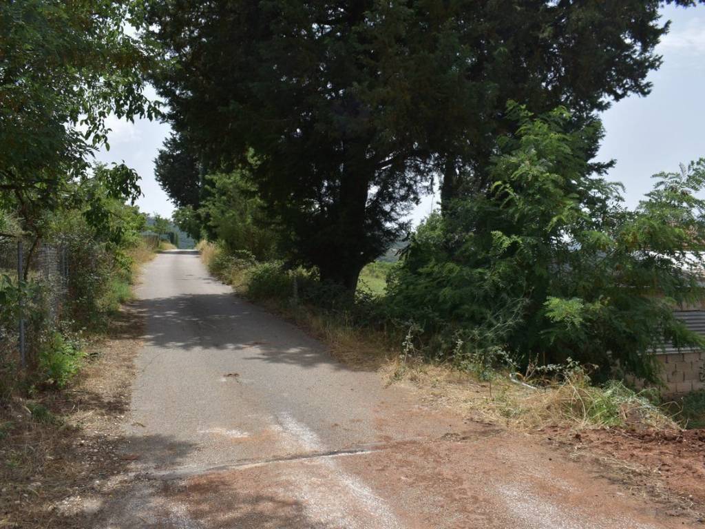 ΑΠΟΨΗ ΟΙΚΟΠΕΔΟΥ