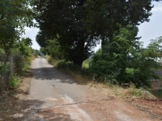 ΑΠΟΨΗ ΟΙΚΟΠΕΔΟΥ