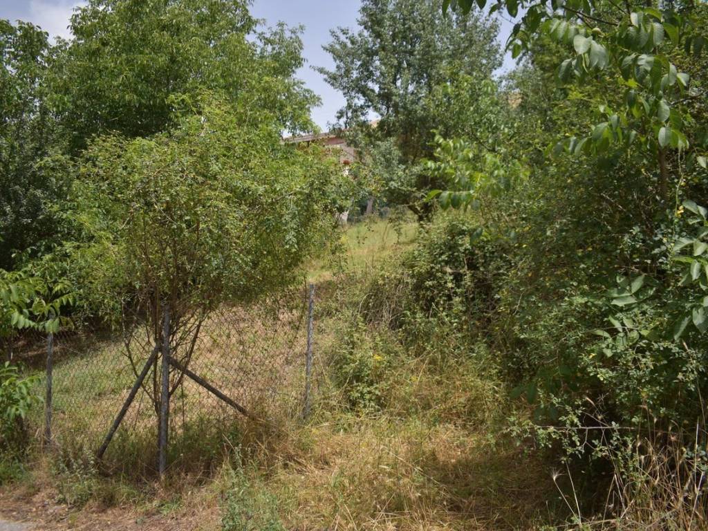 ΑΠΟΨΗ ΟΙΚΟΠΕΔΟΥ