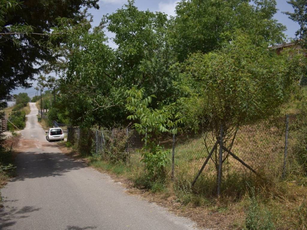 ΑΠΟΨΗ ΟΙΚΟΠΕΔΟΥ