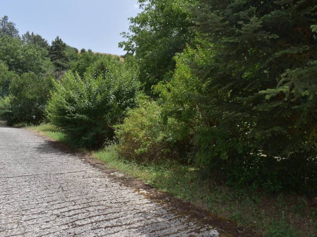 ΑΠΟΨΗ ΟΙΚΟΠΕΔΟΥ