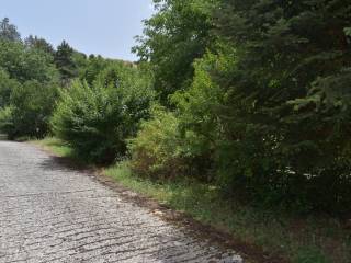 ΑΠΟΨΗ ΟΙΚΟΠΕΔΟΥ