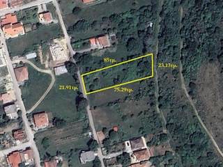 ΣΧΗΜΑ ΟΙΚΟΠΕΔΟΥ