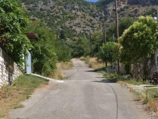 ΑΠΟΨΗ ΟΙΚΟΠΕΔΟΥ