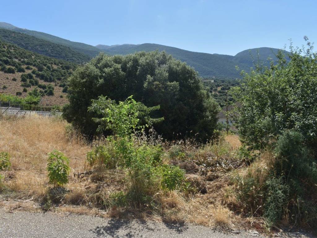 ΑΠΟΨΗ ΟΙΚΟΠΕΔΟΥ