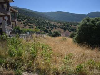 ΑΠΟΨΗ ΟΙΚΟΠΕΔΟΥ