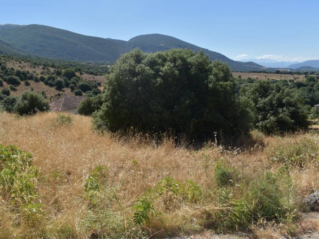 ΑΠΟΨΗ ΟΙΚΟΠΕΔΟΥ