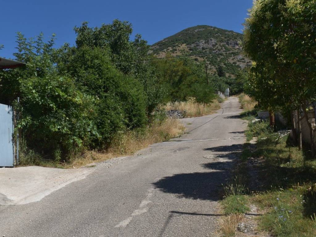 ΑΠΟΨΗ ΟΙΚΟΠΕΔΟΥ