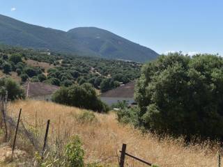 ΑΠΟΨΗ ΟΙΚΟΠΕΔΟΥ