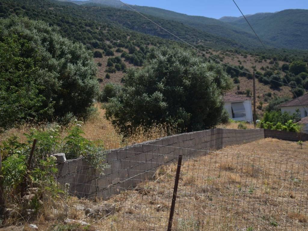 ΑΠΟΨΗ ΟΙΚΟΠΕΔΟΥ