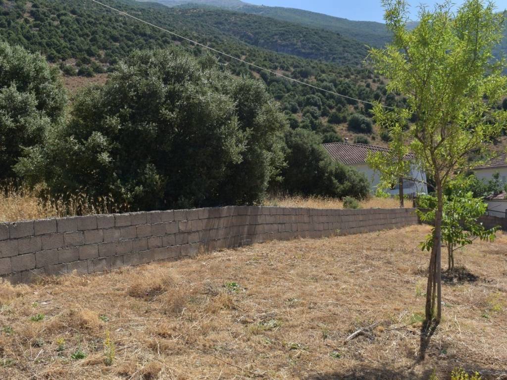 ΑΠΟΨΗ ΟΙΚΟΠΕΔΟΥ