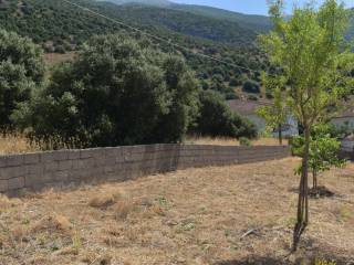 ΑΠΟΨΗ ΟΙΚΟΠΕΔΟΥ