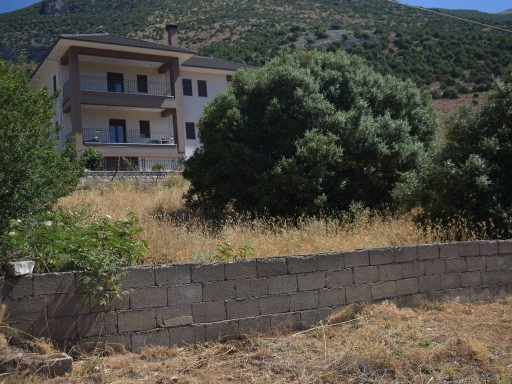 ΑΠΟΨΗ ΟΙΚΟΠΕΔΟΥ