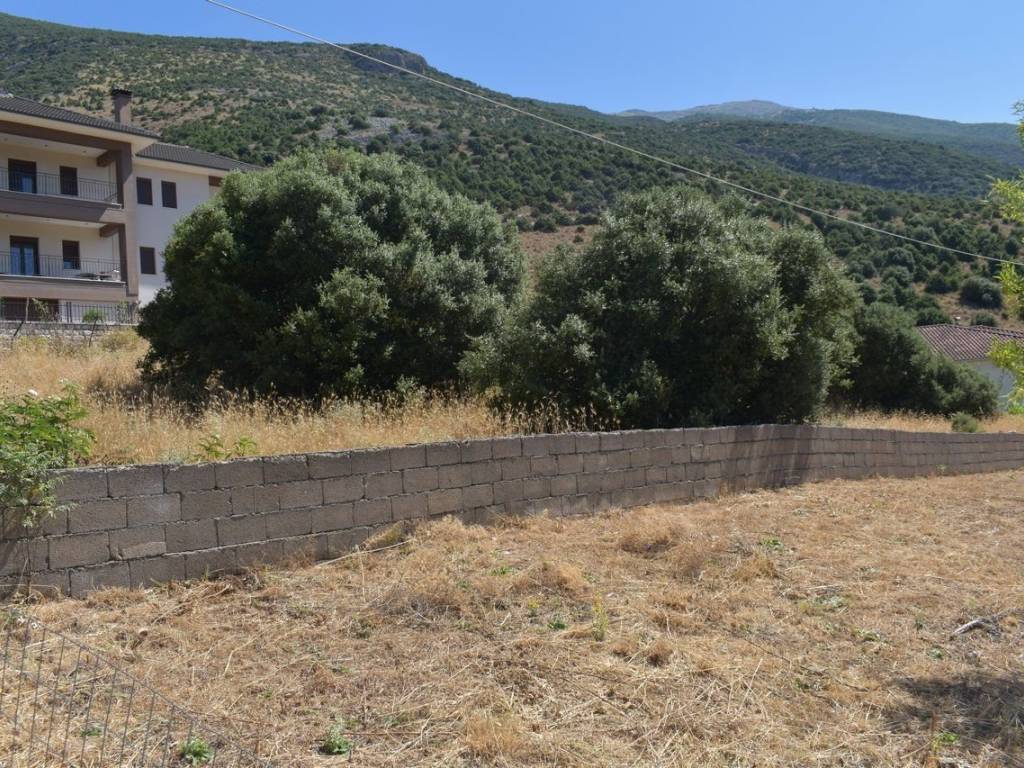 ΑΠΟΨΗ ΟΙΚΟΠΕΔΟΥ