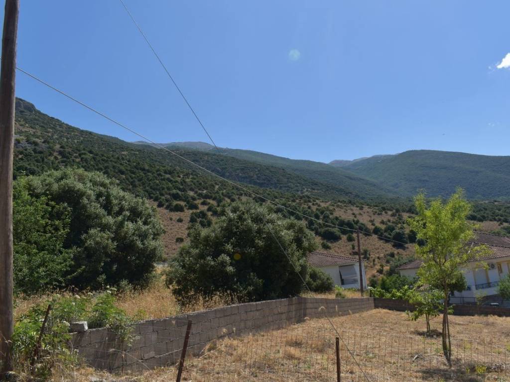 ΑΠΟΨΗ ΟΙΚΟΠΕΔΟΥ