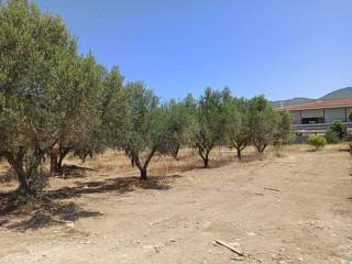 ΠΡΟΣΟΨΗ 17 μ. ΣΕ ΧΩΜΑΤΟΔΡΟΜΟ ΠΛΑΤΟΥΣ 7 μ.