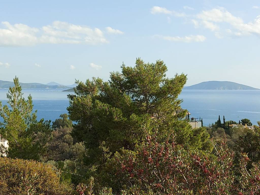 for sale a hotel unit consisting of 26 rooms with panoramic