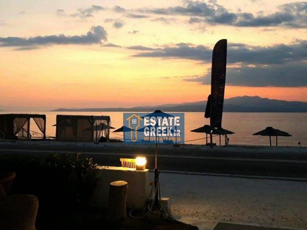 ★ RENOVATED ★ FIRST SEA WITH Beach bar ★