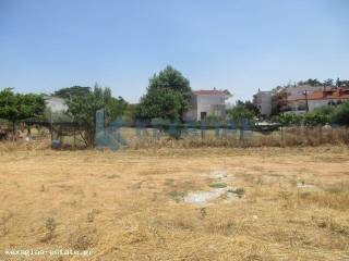 ΕΞΩΤΕΡΙΚΗ ΛΗΨΗ